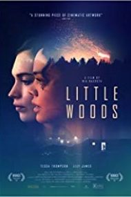 Little Woods 2018 film subtitrat in romana hd