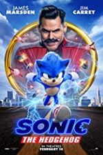 Sonic the Hedgehog 2020 subtitrat hd online gratis in romana