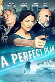 A Perfect Plan 2020 online hd in romana