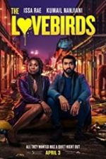 The Lovebirds 2020 film online hd in romana