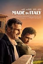 Made in Italy 2020 online hd subtitrat