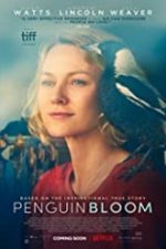 Penguin Bloom 2020 film online in romana