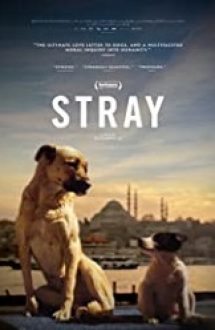 Stray 2020 film hd subtitrat
