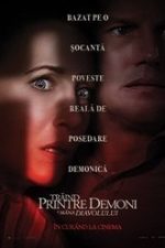 The Conjuring: The Devil Made Me Do It 2021 hd subtitrat in romana