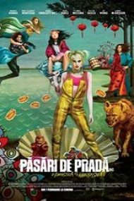 Birds of Prey: And the Fantabulous Emancipation of One Harley Quinn 2020 cu sub in romana filme hd