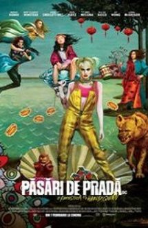 Birds of Prey: And the Fantabulous Emancipation of One Harley Quinn 2020 subtitrat in romana