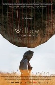 Willow 2019 film hd subtitrat in romana