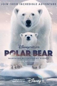 Polar Bear 2022 film online hd subtitrat