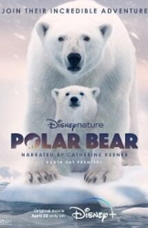 Polar Bear 2022 film online hd subtitrat