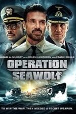 Operation Seawolf 2022 online hd subtitrat gratis