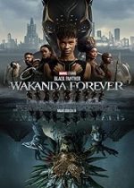 Black Panther: Wakanda Forever 2022 online gratis hd subtitrat