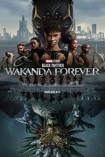 Black Panther: Wakanda Forever 2022 film online 1080p voxfilmeonline.biz