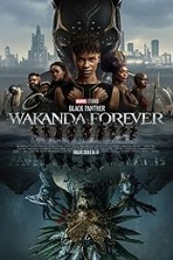 Black Panther: Wakanda Forever 2022 film voxfilmeonline.biz hd