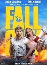 The Fall Guy 2024 online subtitrat hd in romana