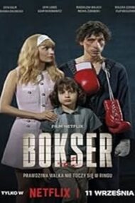 Boxer 2024 online subtitrat HD în română gratis