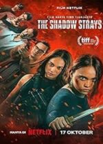 The Shadow Strays 2024 film online subtitrat hd