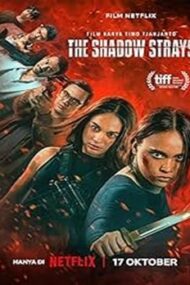 The Shadow Strays 2024 film online subtitrat hd