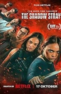 The Shadow Strays 2024 film online subtitrat hd