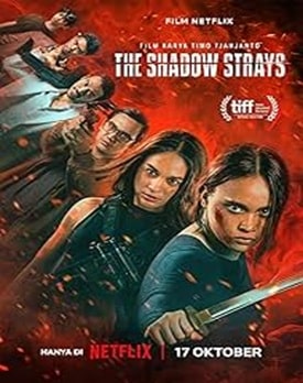 The Shadow Strays 2024 – Codename 13 și Monji pe urmele pericolului.