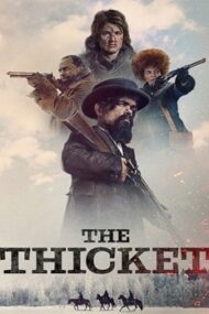 The Thicket 2024 film online subtitrat hd