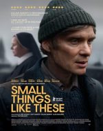 Small Things Secrets 2024 – poster oficial film online subtitrat hd