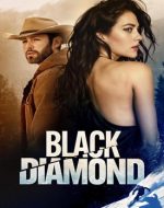 Black Diamond 2025 film online subtitrat – dramă plină de tensiune și mister.